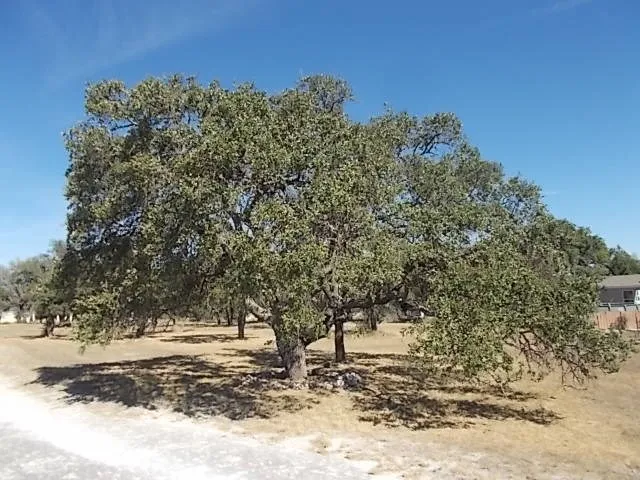 $245,000 | 448 Reeves Lane, Harper, TX 78631