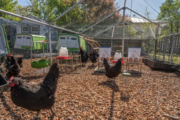 $3,950,000 | 1101 Hedgeside Avenue, Napa, CA 94558