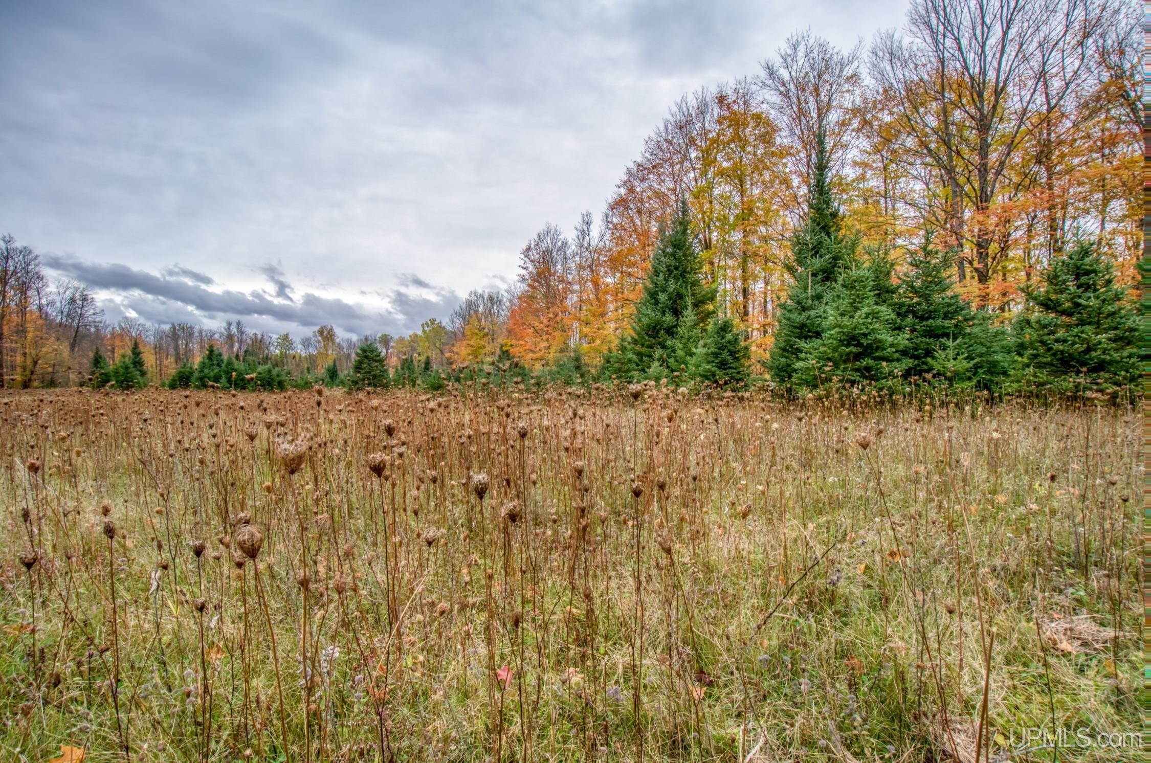Tbd Tbd Lerza Road Sagola, MI 49881 - Photo 19 of 22