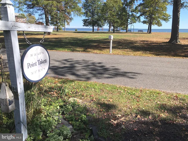 a view of a yard with a fountain