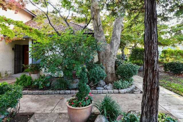 a view of a garden with plants and trees