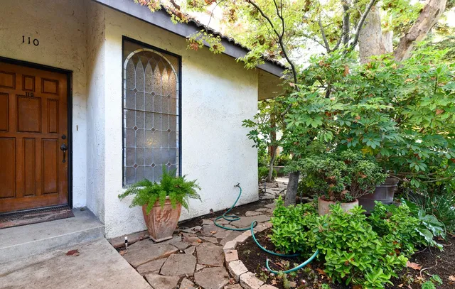 a potted plant in front of a door