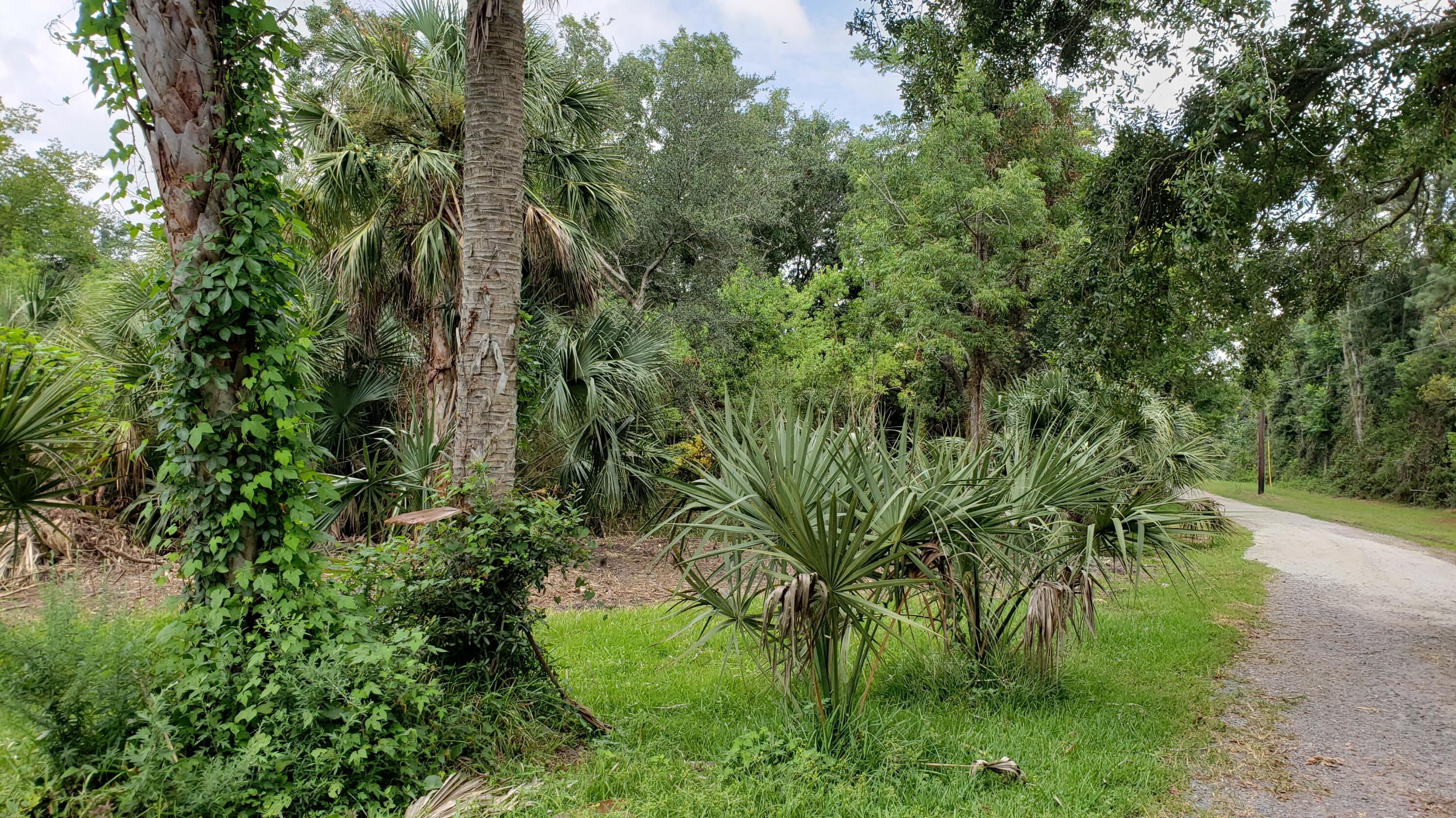 2175 Roberts Road Charleston, SC 29412 - Photo 4 of 4 20210831_121048
