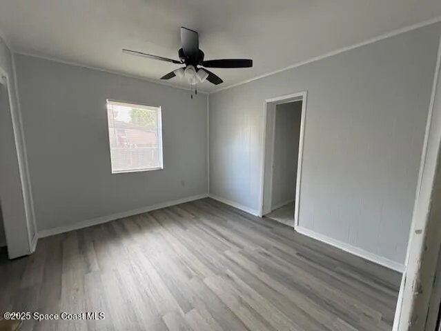 a view of backyard with large trees and plants