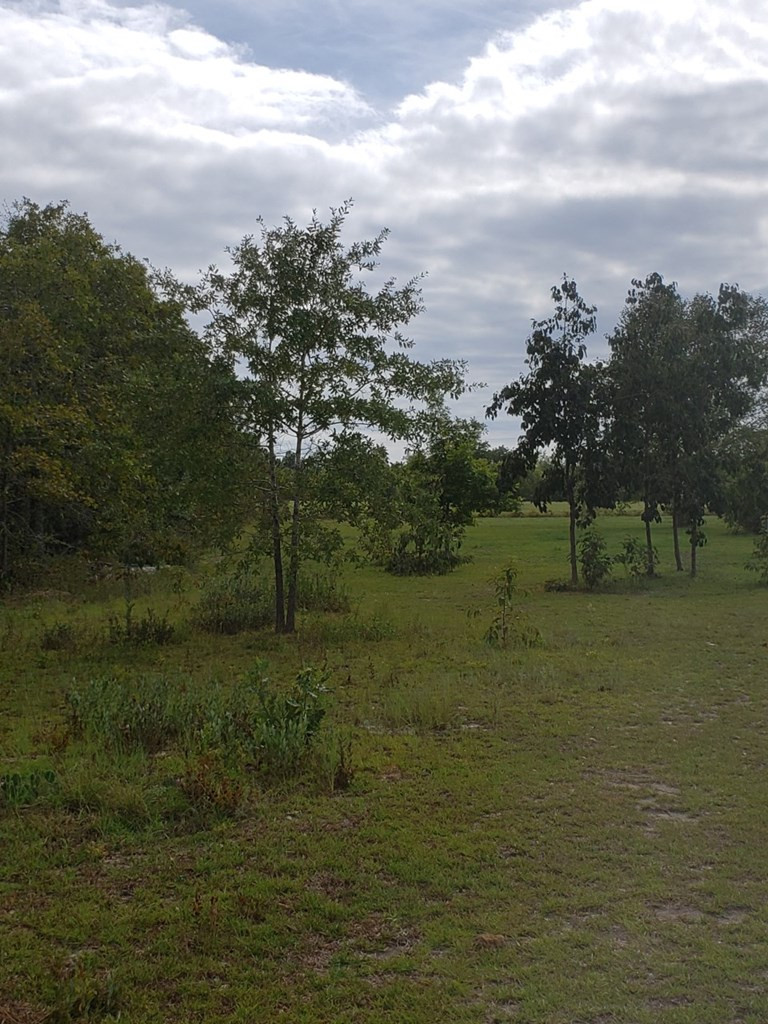 737 North Windsor Road Williston, SC 29853 - Photo 17 of 22