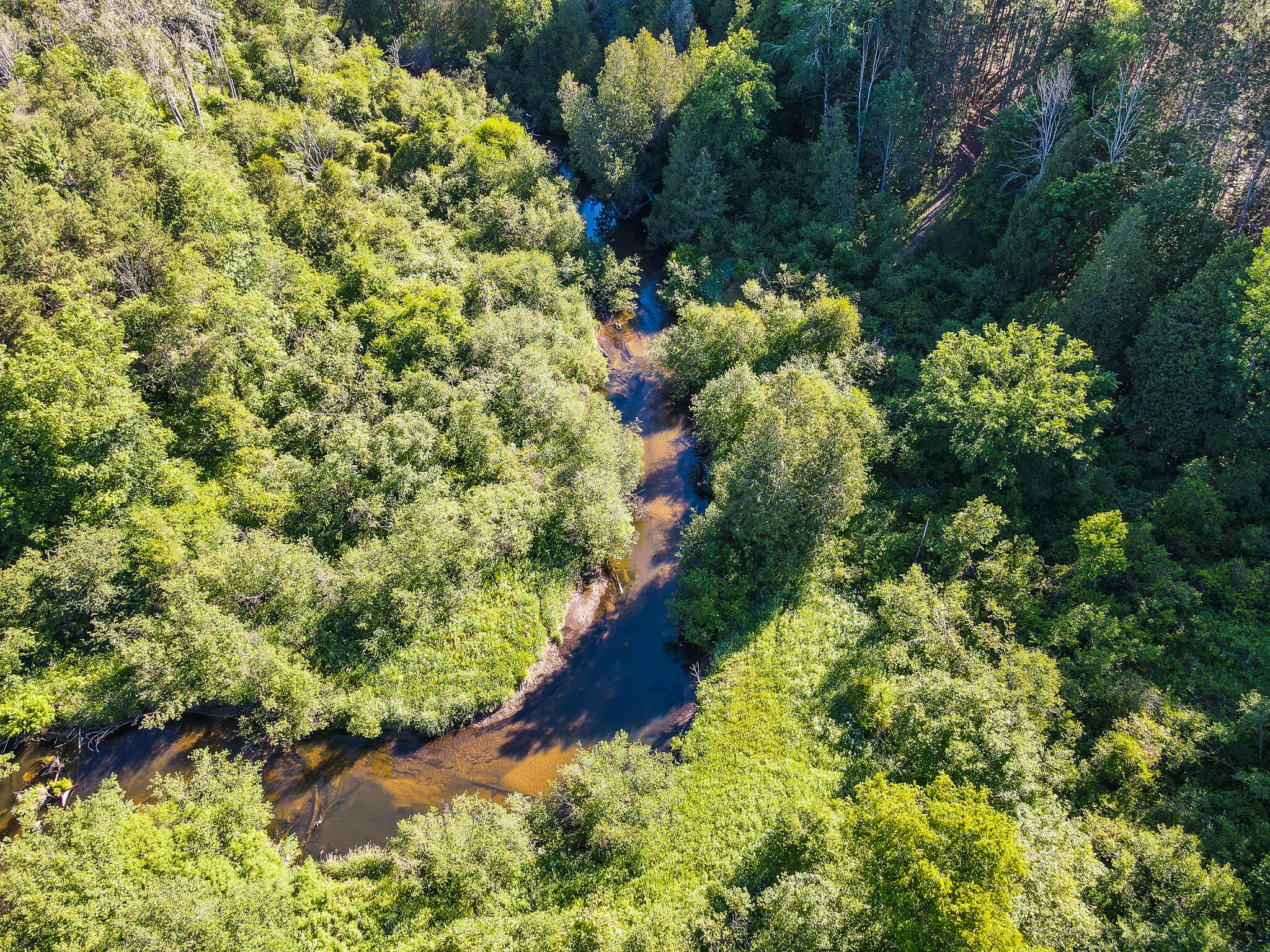 DJI_0029
