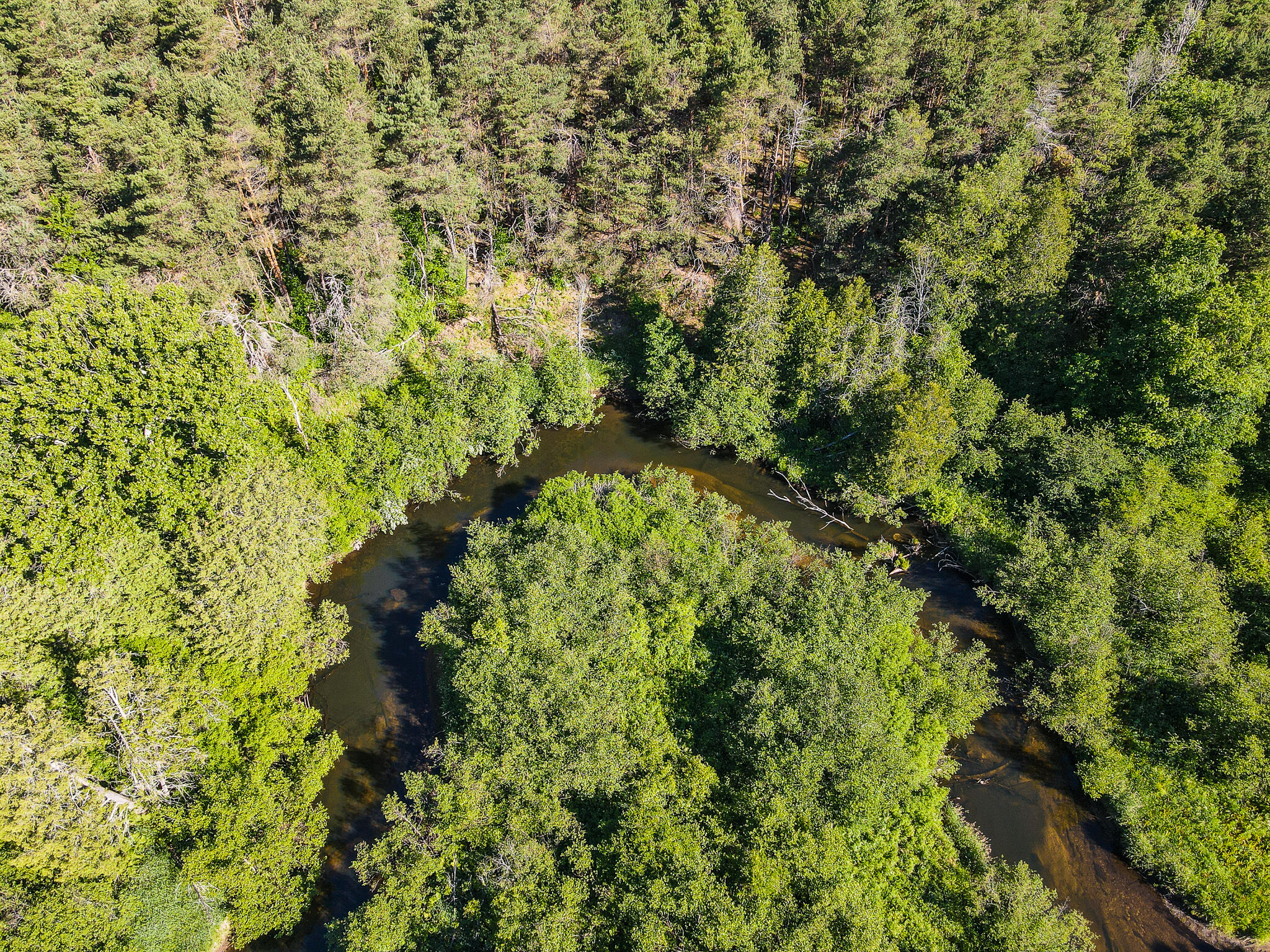 DJI_0031