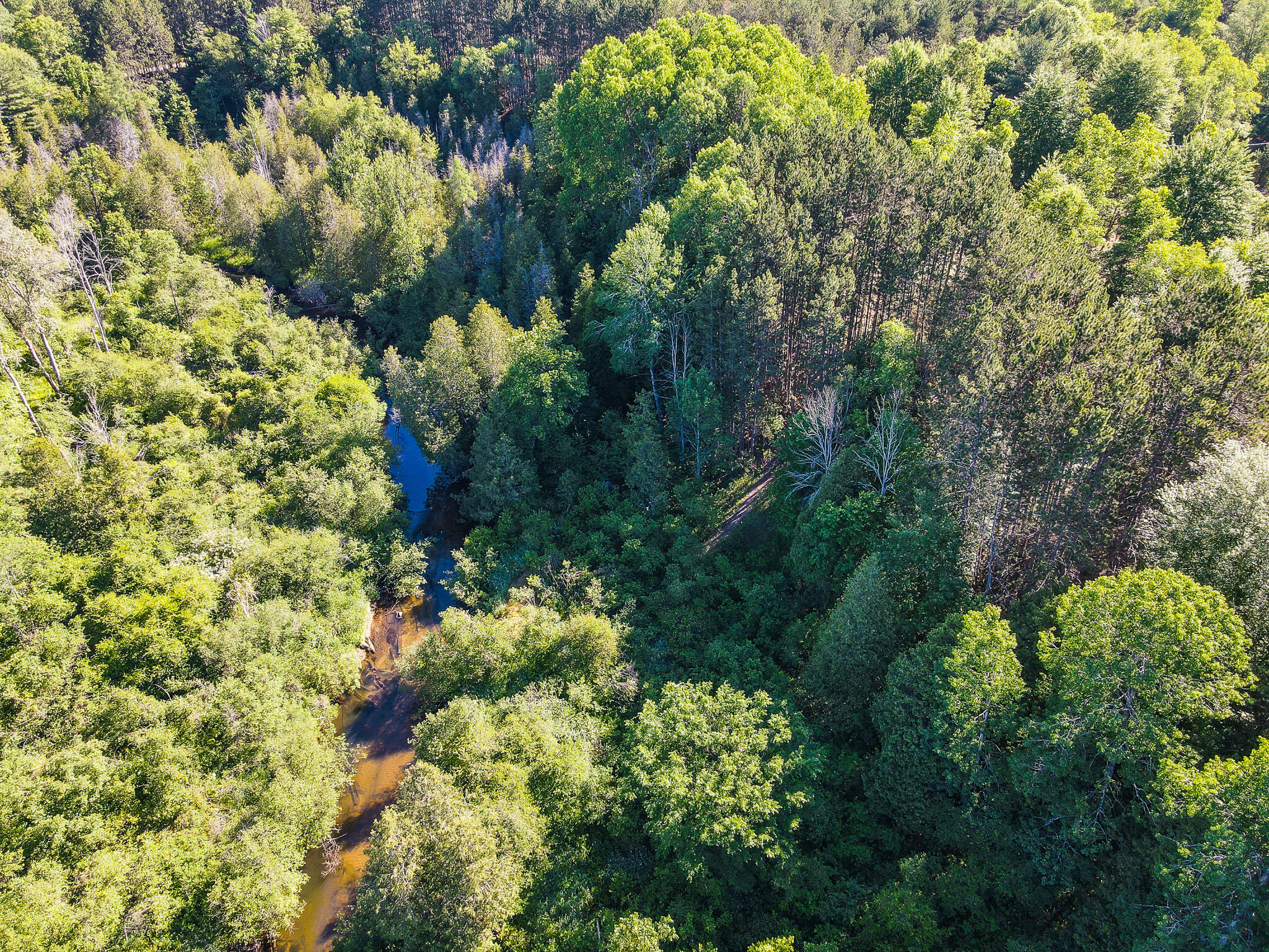 19 Mile Road, Unit 10 ACRES Tustin, MI 49688 - Photo 8 of 14 DJI_0033