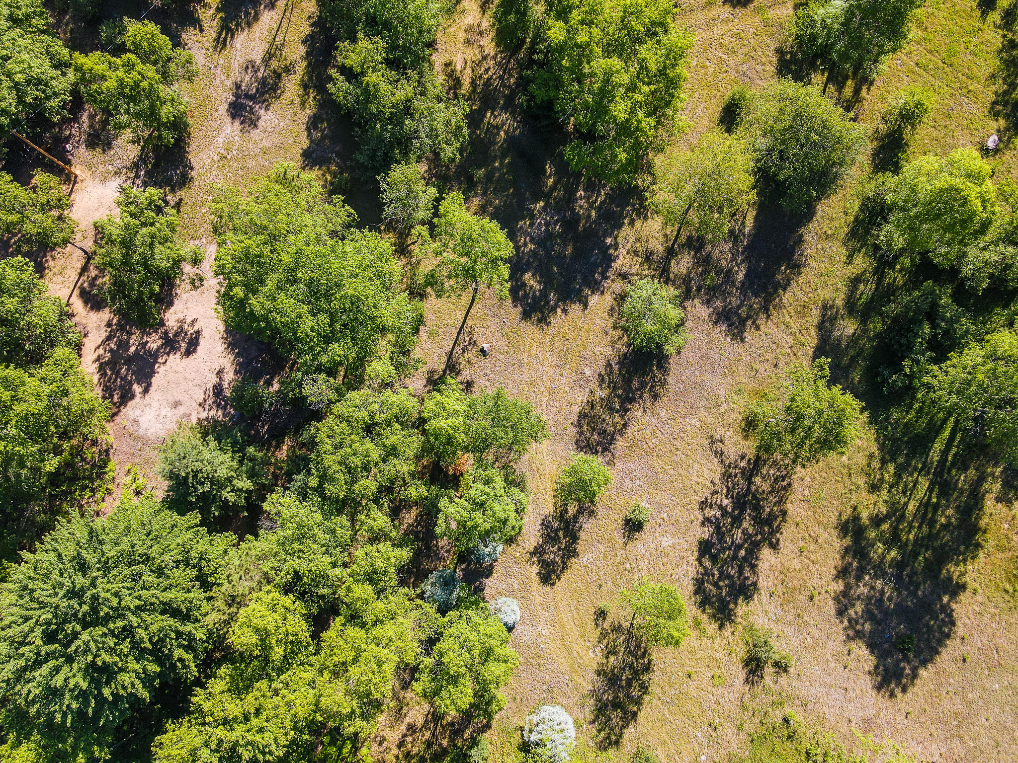 19 Mile Road, Unit 10 ACRES Tustin, MI 49688 - Photo 10 of 14 DJI_0035