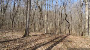 11639 Williams Road Williams, IN 47470 - Photo 15 of 19