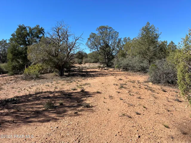 a view of a yard with trees