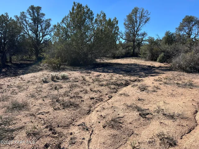 a view of backyard with green space