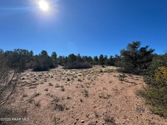 a view of a dry yard with trees