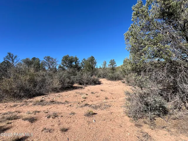 a view of a snow on a beach