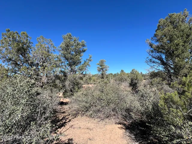 a view of a yard with a tree