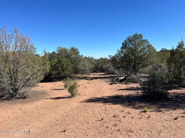 a view of the ocean and trees