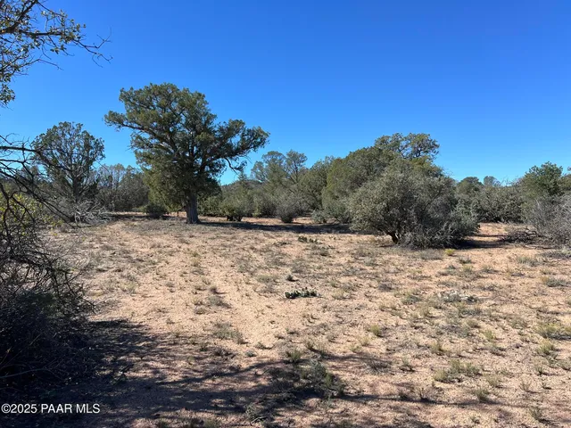 a view of a yard with a tree