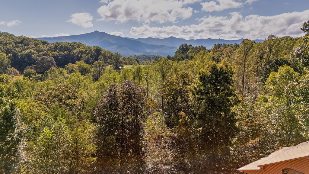314 Ruby Ridge Young Harris, GA 30582 - Photo 35 of 39 a view of a houses with a yard