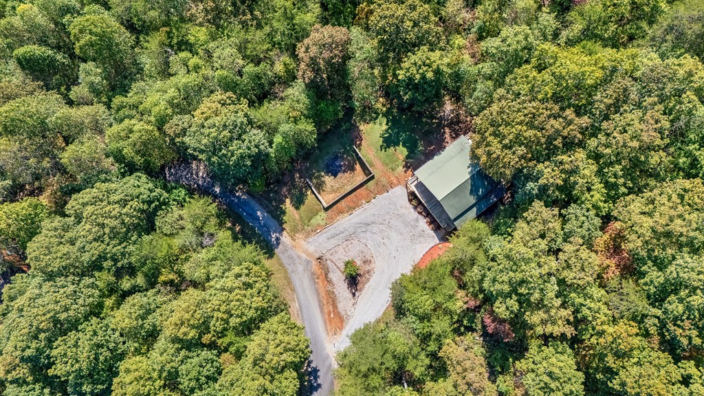 314 Ruby Ridge Young Harris, GA 30582 - Photo 36 of 39 an aerial view of a house with a yard