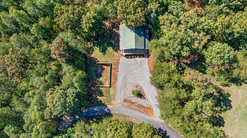 314 Ruby Ridge Young Harris, GA 30582 - Photo 37 of 39 an aerial view of a house with a yard