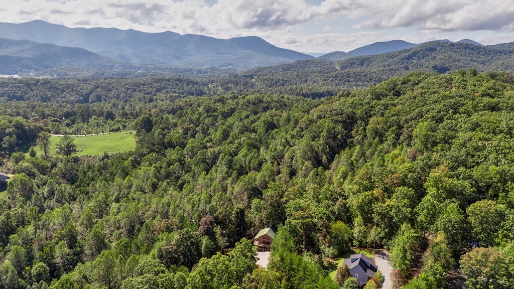 314 Ruby Ridge Young Harris, GA 30582 - Photo 39 of 39 a view of a lush green hillside and a houses