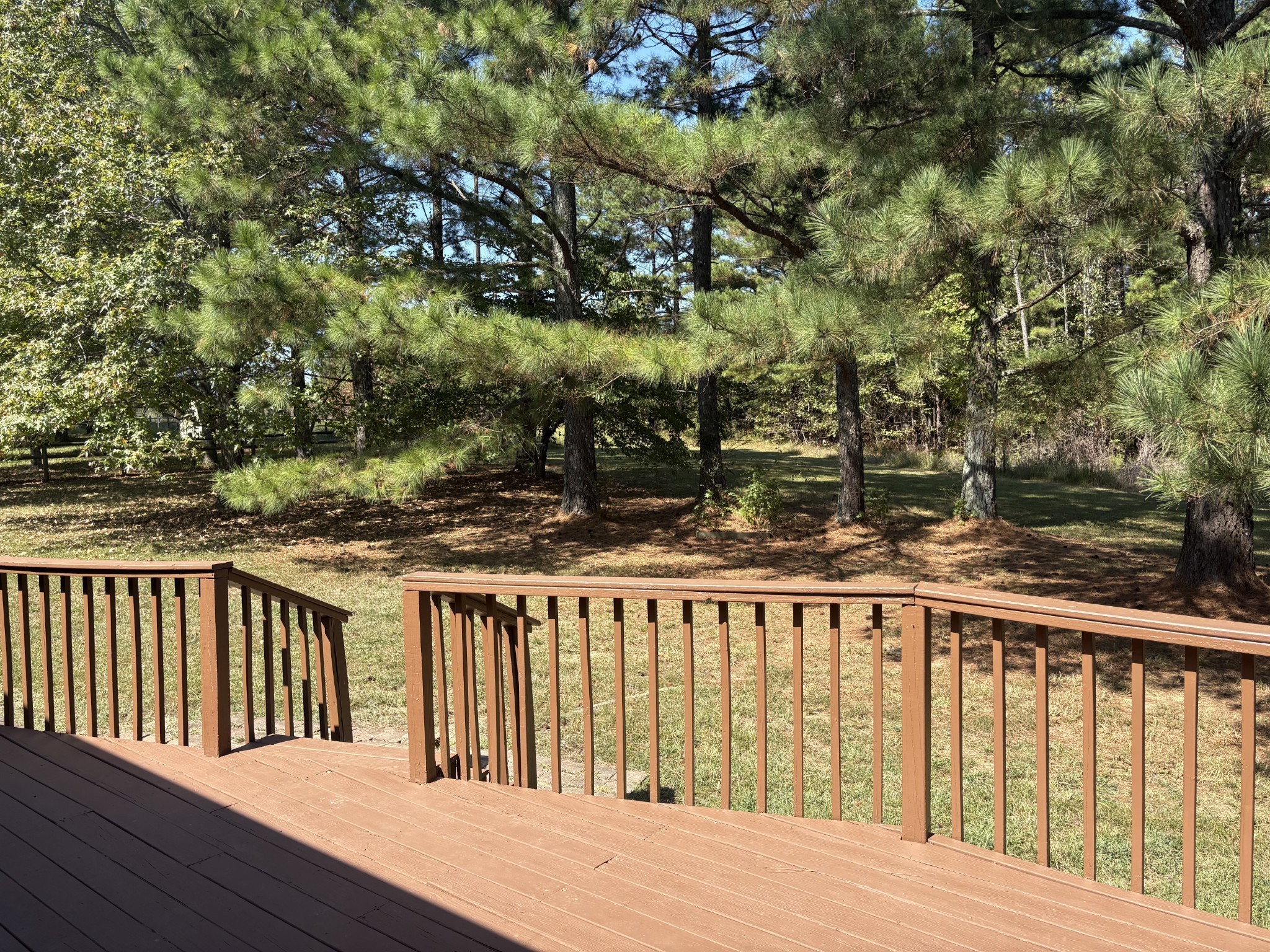 2044 Old Blacktop Road McEwen, TN 37101 - Photo 45 of 45 a view of wooden deck and a yard