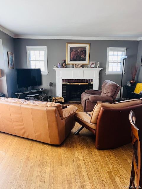 114 Camdike Street Valley Stream, NY 11580 - Photo 10 of 12 a living room with furniture and a flat screen tv