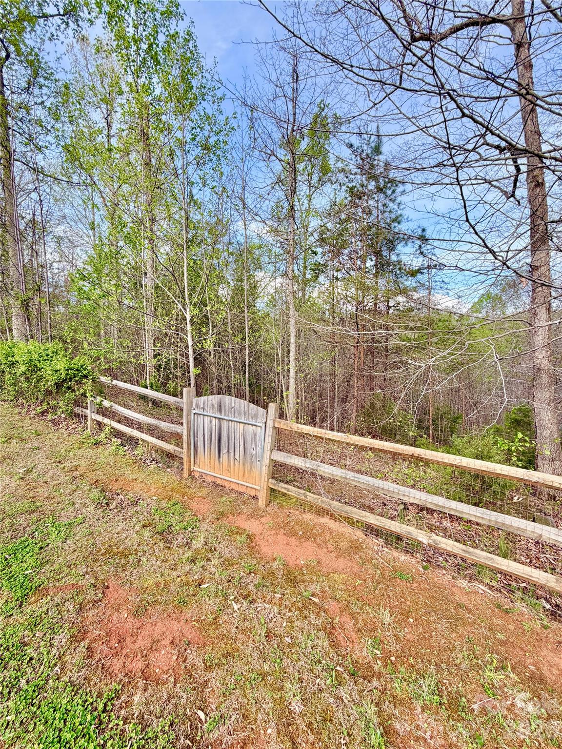 1142 Clearwater Parkway Rutherfordton, NC 28139 - Photo 23 of 24