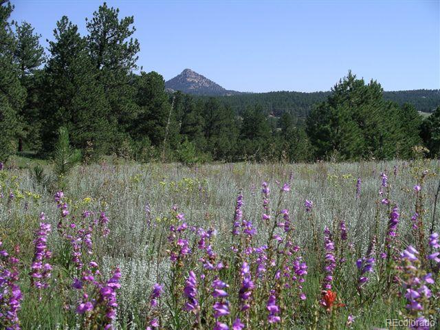 Pickens Road Florissant, CO 80816 - Photo 1 of 35 a view of a lake with a flower garden