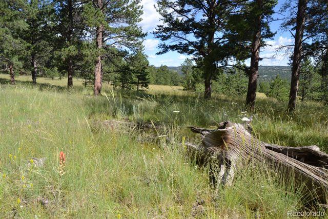Pickens Road Florissant, CO 80816 - Photo 11 of 35 a view of lake