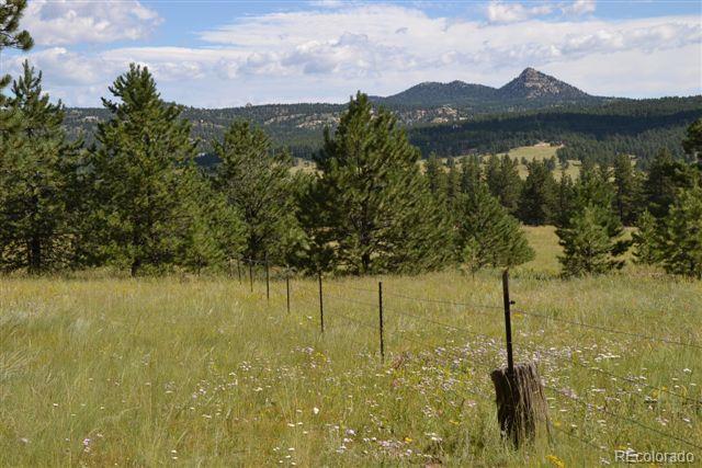 Pickens Road Florissant, CO 80816 - Photo 14 of 35 a view of lake view and mountain view