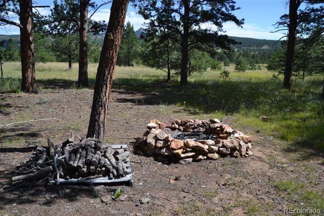 Pickens Road Florissant, CO 80816 - Photo 15 of 35 a view of a backyard of the house