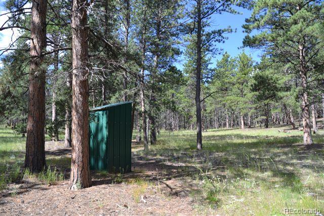 Pickens Road Florissant, CO 80816 - Photo 16 of 35 a view of outdoor space and garden