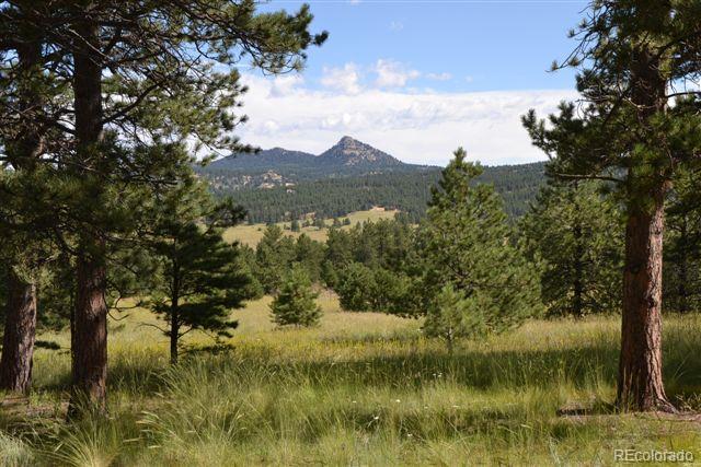 Pickens Road Florissant, CO 80816 - Photo 18 of 35 a view of lake