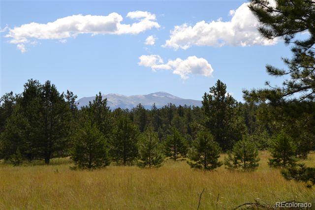 Pickens Road Florissant, CO 80816 - Photo 20 of 35 a view of a city