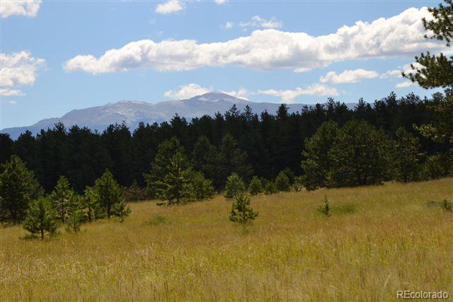 Pickens Road Florissant, CO 80816 - Photo 21 of 35 a view of mountains and valleys