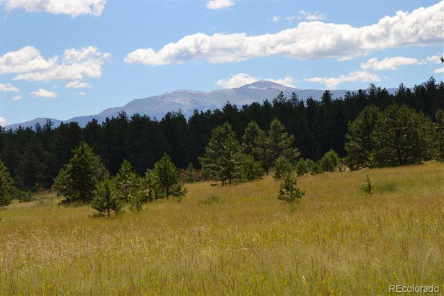 Pickens Road Florissant, CO 80816 - Photo 22 of 35