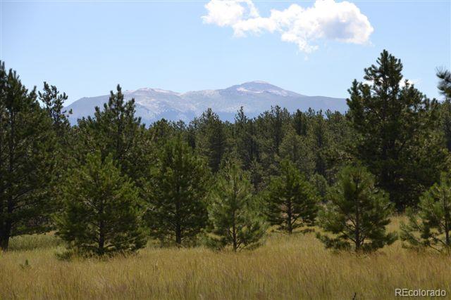 Pickens Road Florissant, CO 80816 - Photo 23 of 35 a view of a lake in middle of forest