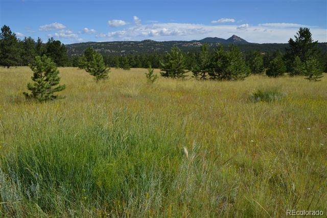 Pickens Road Florissant, CO 80816 - Photo 24 of 35 a view of lake view and mountain view