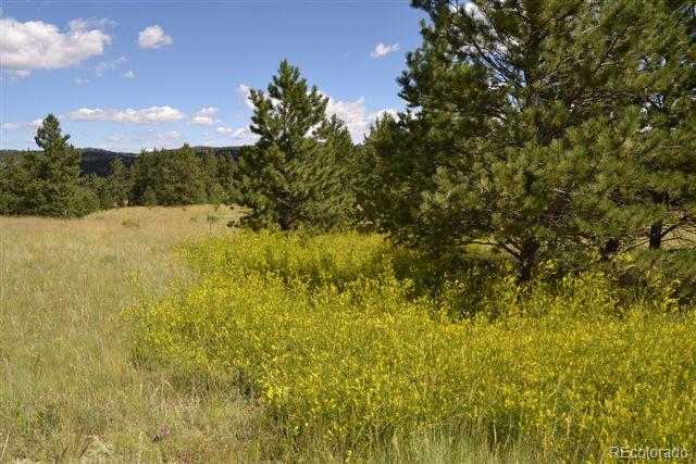 Pickens Road Florissant, CO 80816 - Photo 26 of 35 a view of an ocean
