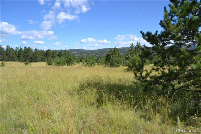 Pickens Road Florissant, CO 80816 - Photo 27 of 35 a view of lake and mountain