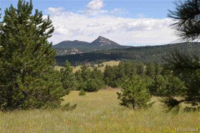 Pickens Road Florissant, CO 80816 - Photo 30 of 35