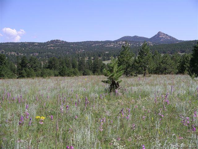 Pickens Road Florissant, CO 80816 - Photo 3 of 35 a view of a lush green hillside and a houses