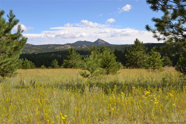 Pickens Road Florissant, CO 80816 - Photo 31 of 35 a view of lake view and mountain view