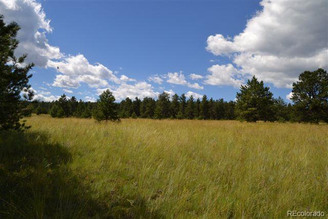 Pickens Road Florissant, CO 80816 - Photo 32 of 35 a view of lake with green space
