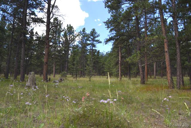Pickens Road Florissant, CO 80816 - Photo 35 of 35 a backyard of a house with lots of green space