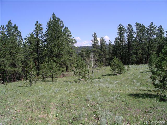 Pickens Road Florissant, CO 80816 - Photo 5 of 35 a view of a yard with a tree