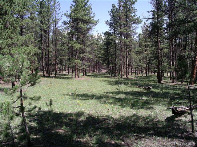 Pickens Road Florissant, CO 80816 - Photo 6 of 35 a view of outdoor space with green field and trees