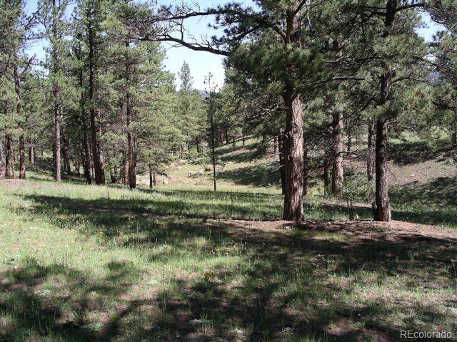 Pickens Road Florissant, CO 80816 - Photo 7 of 35 a view of a tree in a yard