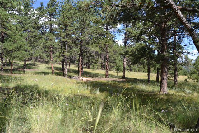 Pickens Road Florissant, CO 80816 - Photo 9 of 35 a view of backyard with green space